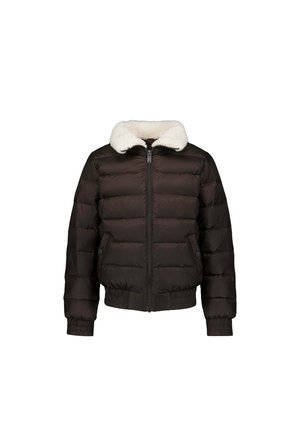 AVIATEUR BASS - Gewatteerde jas - marron