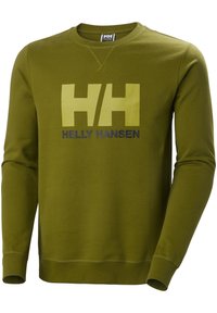 Zelená mikina s dlouhými rukávy, obohacená velkým logem HH ve světle zelené barvě a nápisem "HELY HANSEN" v tmavě modré. Texturovaná tkanina s běžným střihem.
