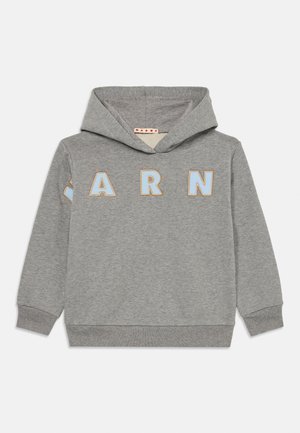 Grauer Kapuzenpullover aus weichem Stoff, mit einem Front-Graphic, das "ARN" in pastellblauen und beigen Akzenten zeigt. Klassische Kängurutasche und gerippte Bündchen.