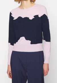 Pull en laine avec un design coloré en blocs, comprenant des sections bleu marine et rose clair, un col rond, et des poignets et un ourlet côtelés.