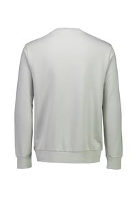 Felpa grigio chiaro, misto cotone, girocollo, maniche lunghe, polsini e orlo a coste, tessuto liscio, design minimalista, senza loghi o motivi visibili.