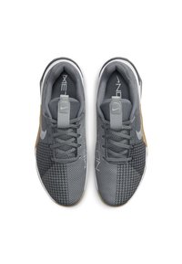Nike Performance Scarpe da allenamento - grey