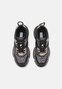 Steve Madden BELISSIMO - Baskets basses - black/grey