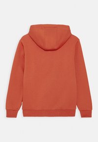 Felpa con cappuccio color ruggine, maniche lunghe, polsini e orlo a coste, mostrata da dietro su uno sfondo bianco.