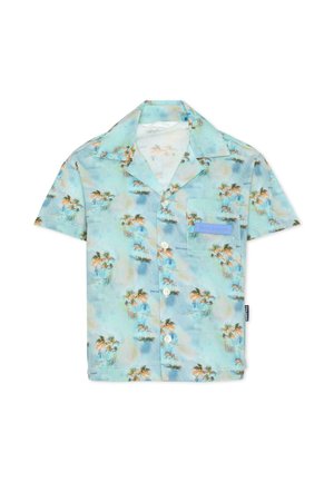 Lichtblauw overhemd met korte mouwen en knopen, bedrukt met palmbomen en landschap. Voorzien van een borstzak en witte knopen.