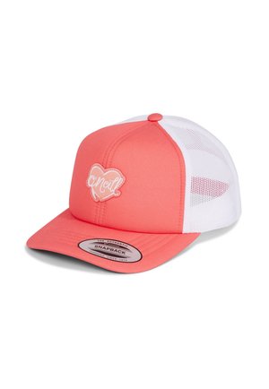 FLOOD TRUCKER - Keps - froly