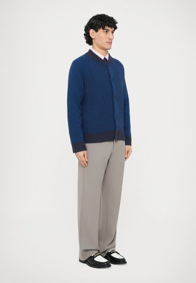 Gestrickte blaue Strickjacke mit strukturiertem Muster, dunkelblauen gerippten Bündchen und drei Knöpfen. Kombiniert mit beigen Hosen und schwarzen Schuhen.