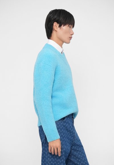 Lichtblauwe gebreide trui met een V-halsontwerp, gestyled met blauwe gebloemde jeans. Zachte textuur en relaxte pasvorm, gedragen over een wit shirt.