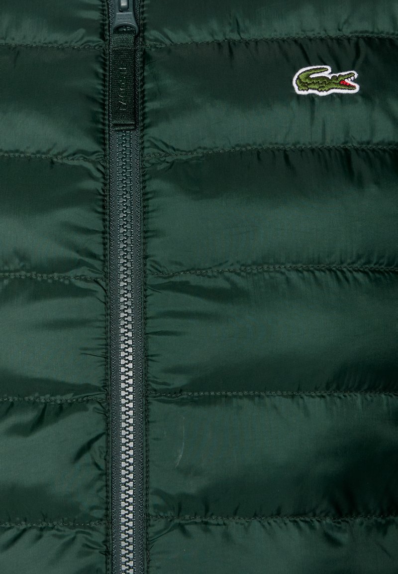 Chaqueta acolchada verde con cremallera central y logo de cocodrilo bordado. Textura suave con costuras de paneles distintas.