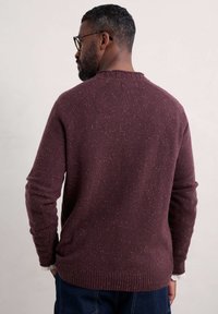 Seasalt Cornwall FITCHER - Stickad tröja - purple merlot