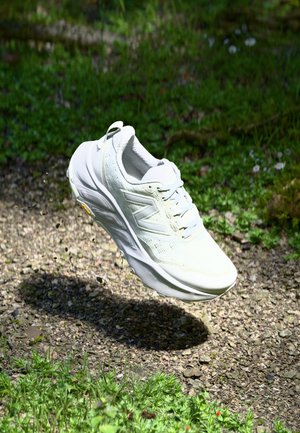 FRESH FOAM X HIERRO V9 - Scarpe da trail running - grey