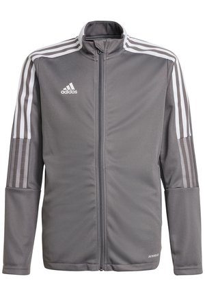 IRO 21 TRACK TOP - Training jacket - grau