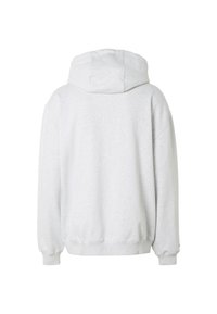 Sweat à capuche gris clair uni, vu de dos, avec manches longues, capuche et poignets et ourlet côtelés.