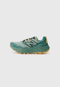 FRESH FOAM X HIERRO V9 - Zapatillas de trail running - dark juniper