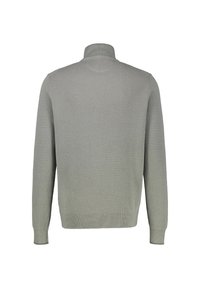 Hellgrüner, gestrickter Pullover mit hohem Kragen, langen Ärmeln und einer strukturierten Oberfläche, ausgestattet mit gerippten Bündchen und Saum. Rückansicht gezeigt.