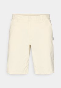 TERRAIN SHORT - Αθλητικό σορτς - mist