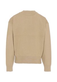 Pull beige avec un col ras du cou côtelé, des manches longues et un ourlet côtelé. Texture lisse, avec un design minimaliste sans motifs.