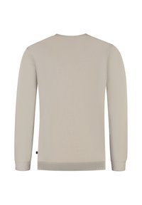 Beige trui met lange mouwen, voorzien van een geribbelde ronde hals en manchetten, gemaakt van textuurmateriaal met een gladde afwerking.