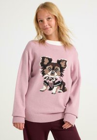 Rosa stickad tröja med en broderad Chihuahua-design. Långa ärmar, ribbad mudd och fåll, mjuk textur och avslappnad passform.
