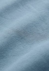 Next REGULAR FIT - TABASCO LICENSE GRAPHIC PRINT - Hoodie - blue
