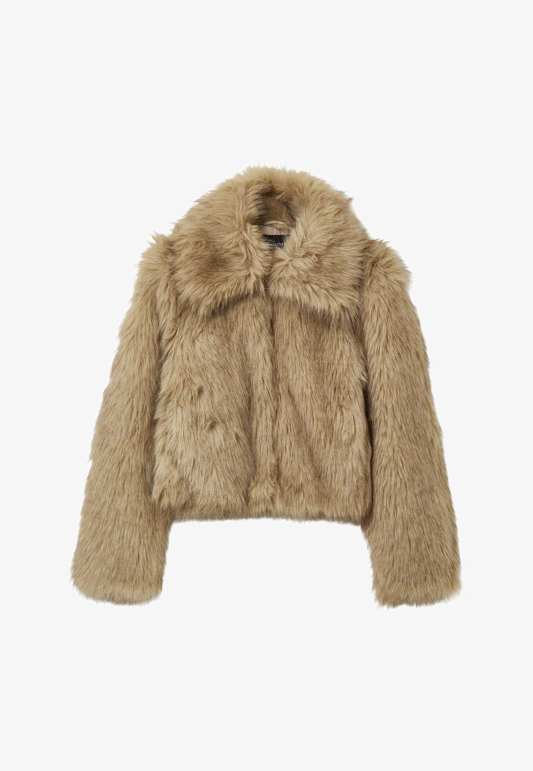 Calliope Winterjacke var sabbia/sand Zalando - Main Image