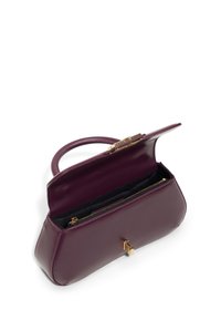 ALDO TOP HANDLE CATRINE - Borsa a mano - dark red