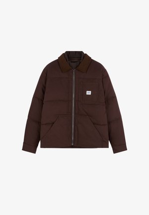 Lee, WORKWEAR PUFFER - Зимно яке - chocolate torte