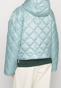 Gesteppten, hellblauen Daunenjacke mit Kapuze, die eine glänzende Oberfläche und einen cropped Schnitt aufweist, kombiniert mit einem dunkelgrünen Sweatshirt darunter.