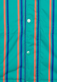 TINYCOTTONS STRIPES SNOW UNISEX - Zimní bunda - emerald