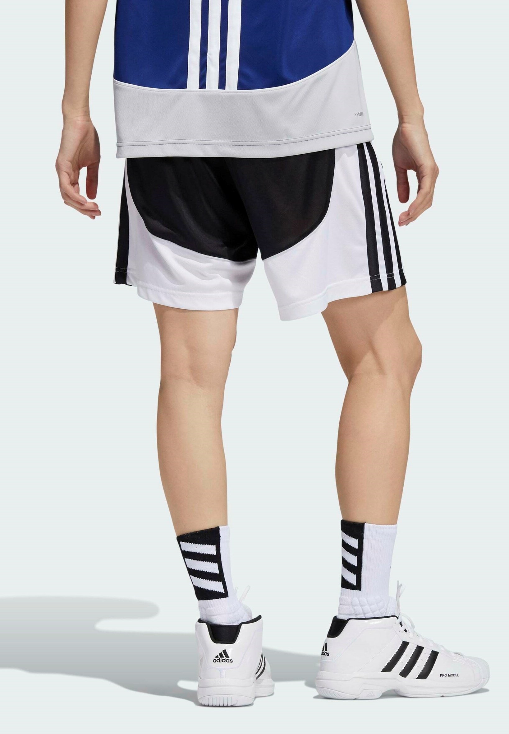 adidas Performance Pantaloncini sportivi - black/nero - Zalando.it