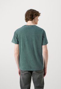 Abercrombie & Fitch NATIONAL PARKS - Print T-shirt - scarab/acid wash