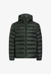 Non selezionato, midnight forest