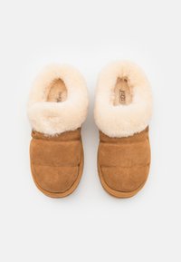 UGG TAZZLITA - Chaussons - chestnut