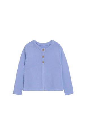 REGULAR FIT - CLASSIC - Vesta na kopčanje - blue