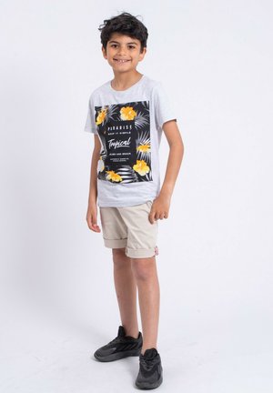 Ritchie Jeans MANCHES COURTES COL ROND NOCTAVIOJ - T-shirt imprimé - gris
