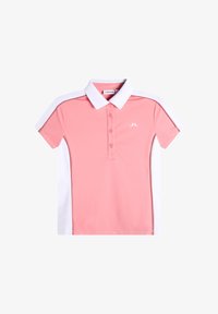 Sélectionné, flamingo plume