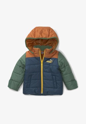 MINICATS - Giacca invernale - warm chestnut