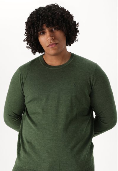 Polo Ralph Lauren Big & Tall LONG SLEEVED PULLOVER - Pulóver - classic olive