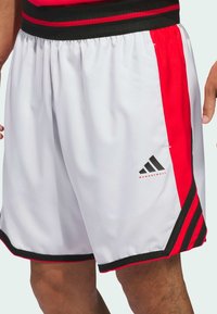 Koripallo shortsit, jotka on valmistettu kevyestä harmaasta kankaasta punaisilla sivupaneeleilla. Ominaisuuksiin kuuluu musta elastinen vyötärönauha ja logot yksityiskohtina alhaalla lahkeessa.