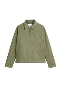 Unausgewählt, desert sage