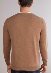 Brauner Pullover aus weich gestricktem Stoff, mit langen Ärmeln und Rundhalsausschnitt. Die Rückseite zeigt ein klares, nahtloses Design mit geripptem Saum.