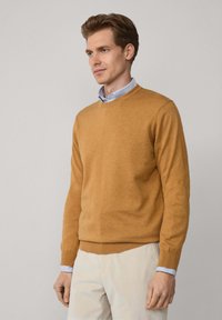 Musztardowy sweter dzianinowy z okrągłym dekoltem, długimi rękawami i ściągaczem na dole, noszony z jasnoniebieską koszulą z kołnierzykiem pod spód.