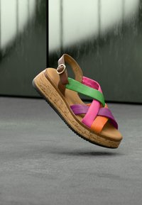 Δεν επιλέχθηκε, carrot/camel