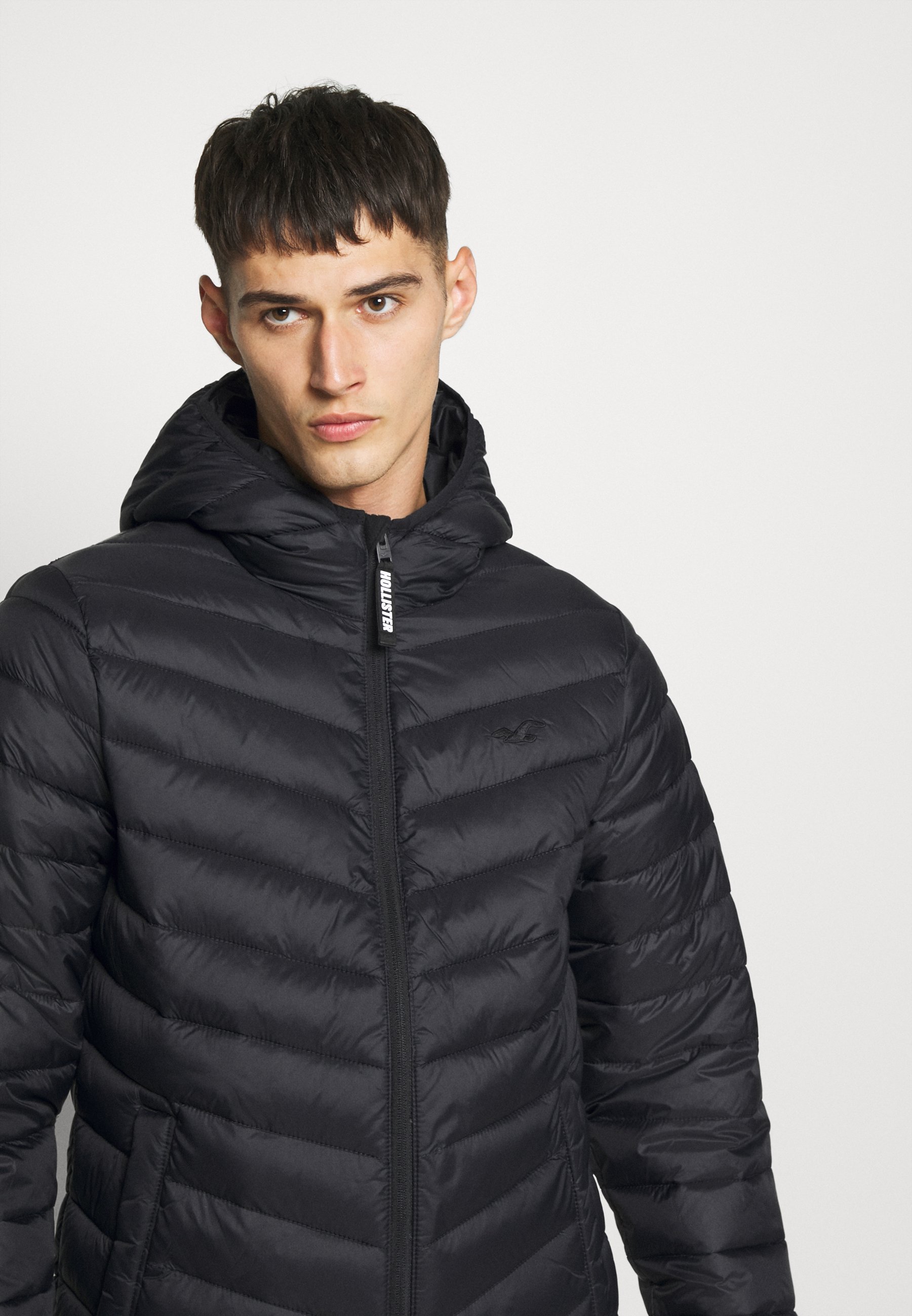 Hollister Co. Vinterjacka black Zalando.se Hollister Co. Vinterjacka black Zalando.se