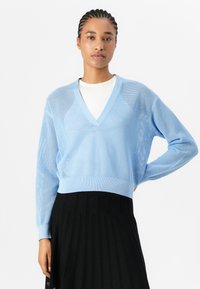 Ljusblå meshtröja med V-hals och långa ärmar, parat med en svart plisserad kjol. Strukturerad tyg och avslappnad passform.