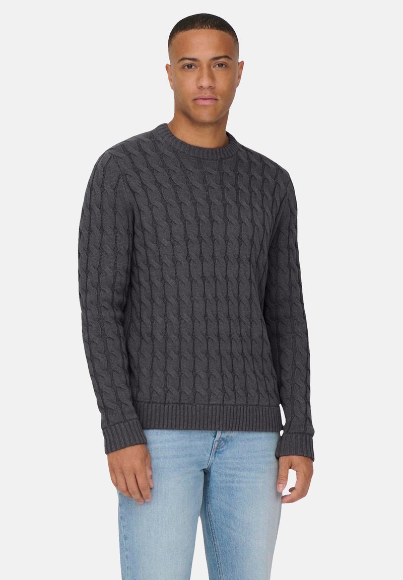 Only & Sons ONSKICKER LIFE  CABLE CREW - Trui - grau