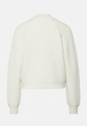 Eierschalenfarbener, strukturierter Strickpullover mit langen Raglanärmeln sowie gerippten Bündchen und Saum, Rückansicht.