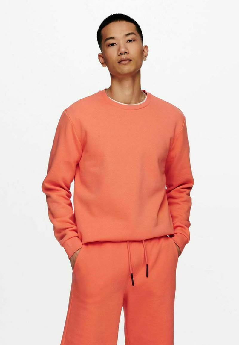 Only & Sons ONSCERES CREW NECK - Sweatshirt - camellia