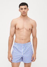 Shorts de bain rayés bleu et blanc avec une taille élastique, offrant une coupe décontractée et un tissu léger. Aucun détail de design supplémentaire visible.