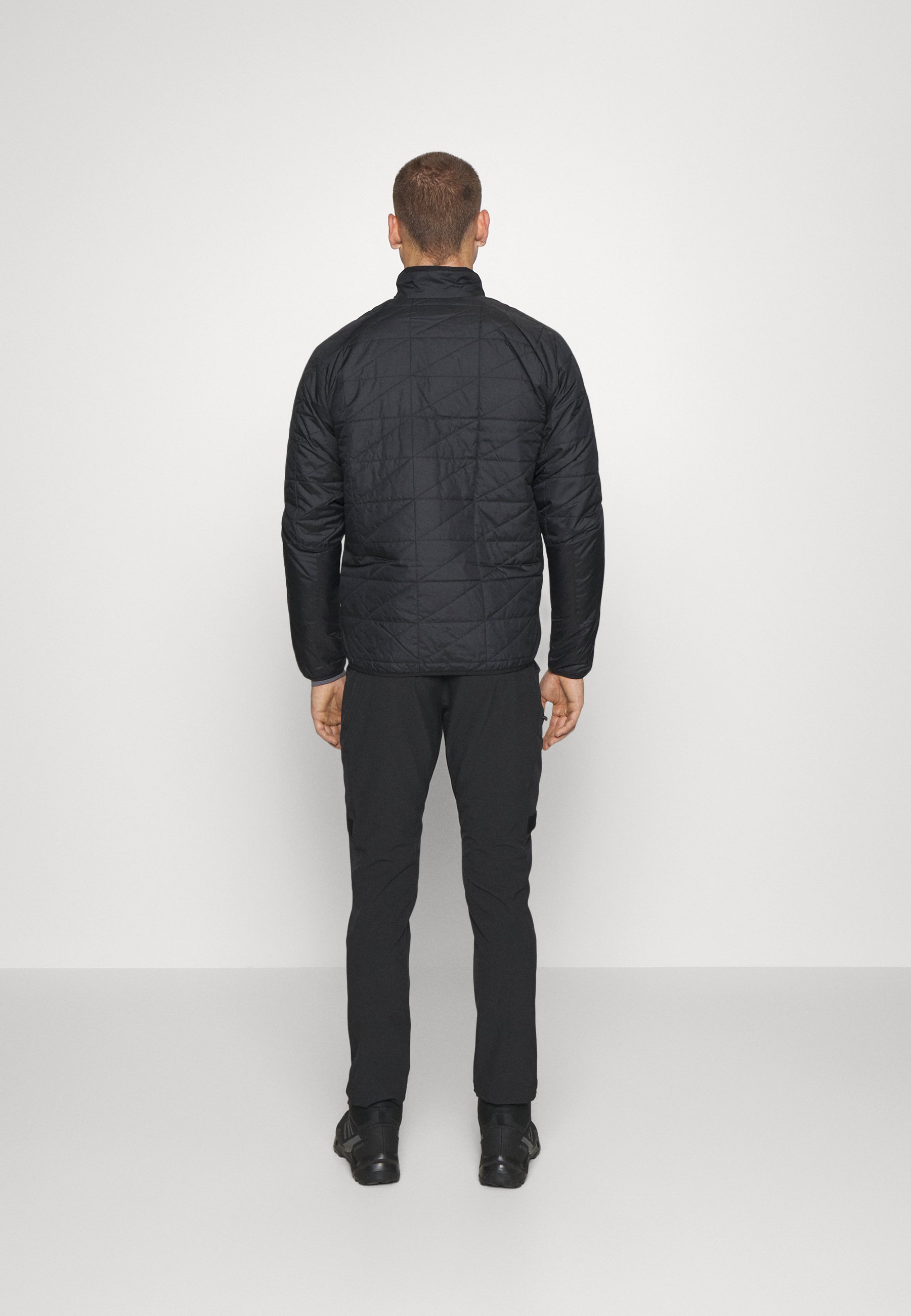 adidas Terrex TERREX MULTI - Chaqueta de invierno - black/negro